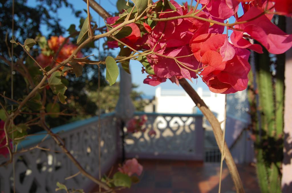 Casa Bella Mya Hotel Taganga Exterior photo